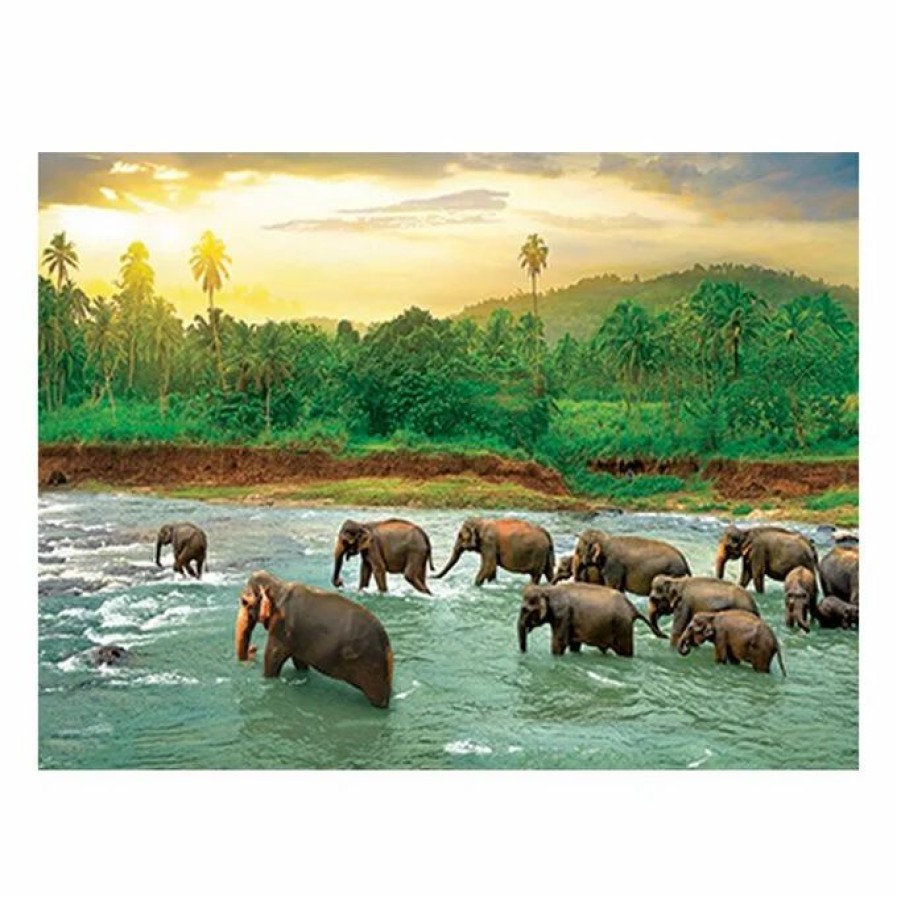 Hobbies * Eurographics Save Our Planet Rainforest Jigsaw Puzzle 1000 Pieces